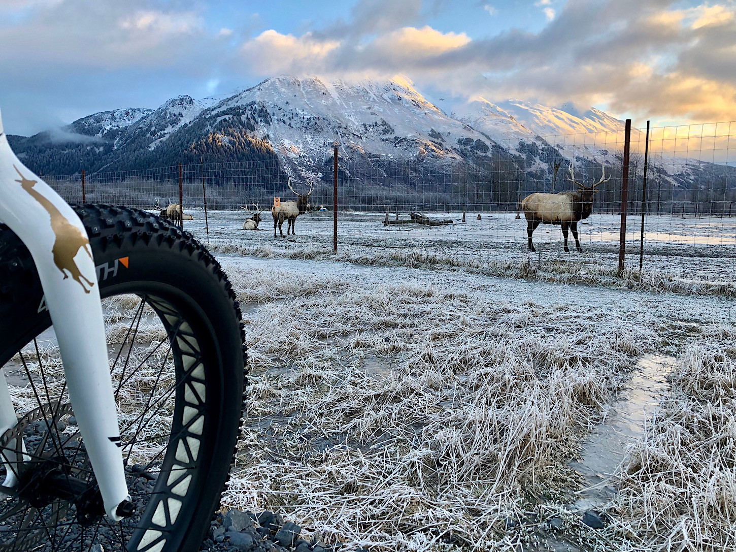 Unterwegs mit dem Fatbike