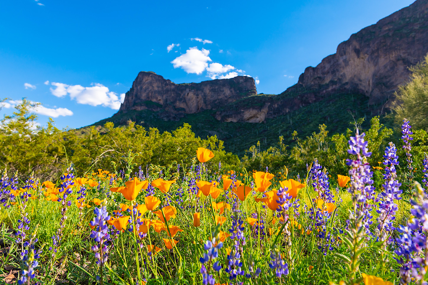 Picacho Peak State Park