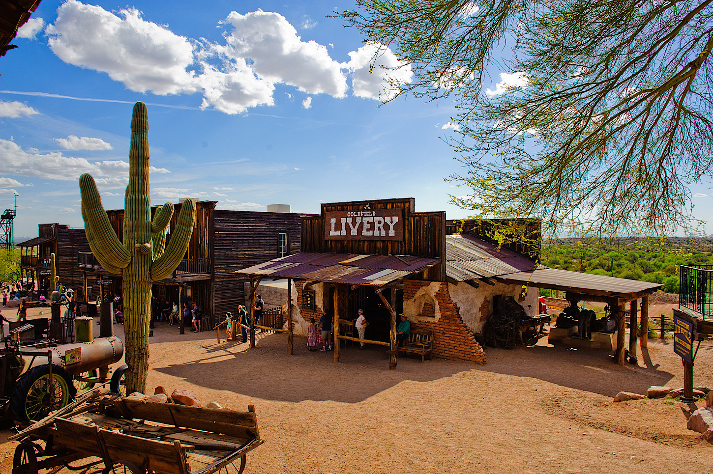 Goldfield