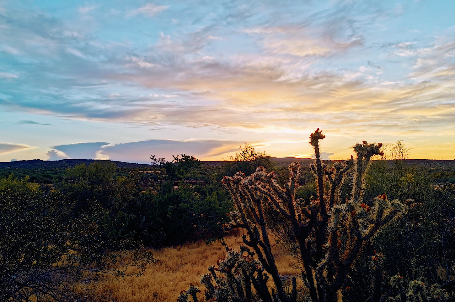 Sonnenuntergang in Wickenburg