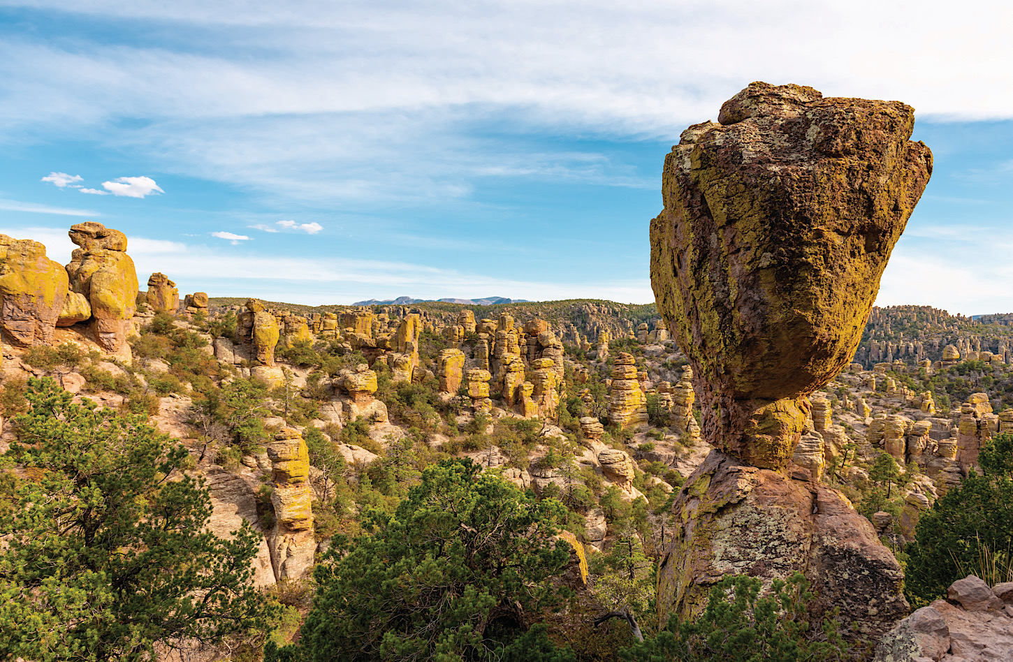 Chiricahua National Monument