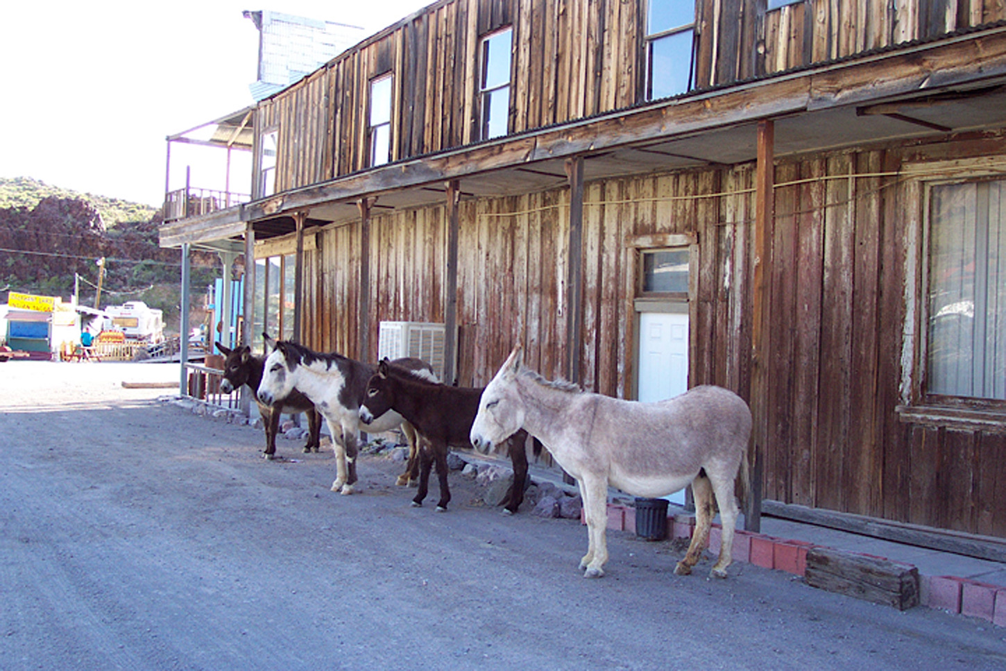 Oatman