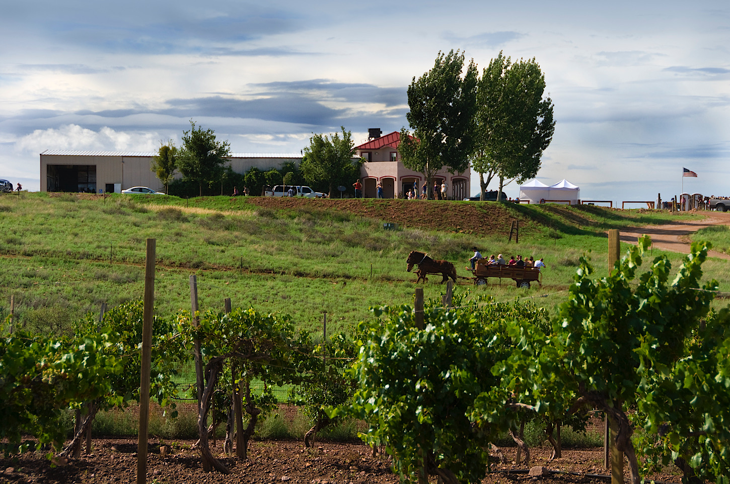 Sonoita Vineyards, Elgin