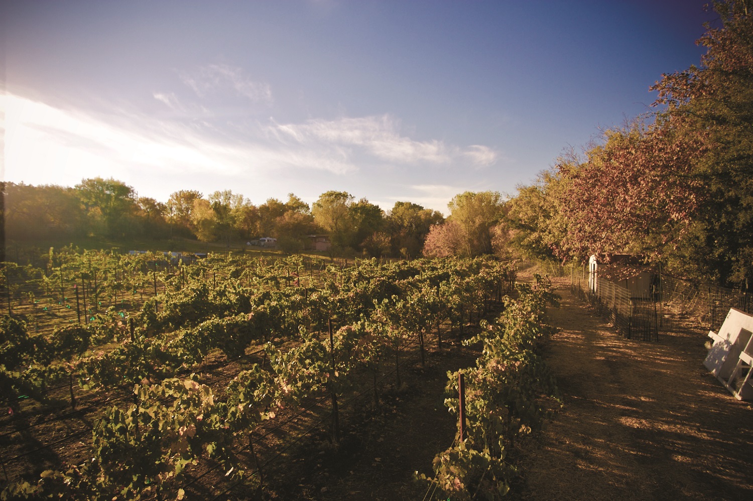 Page Springs Cellars