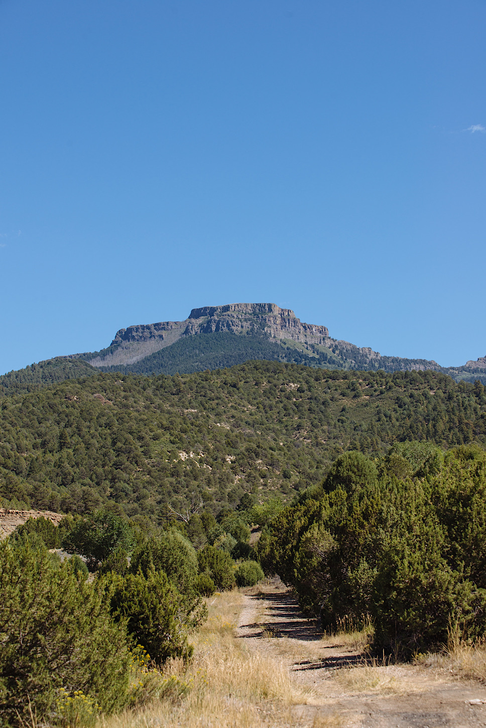 Fishers Peak State Park