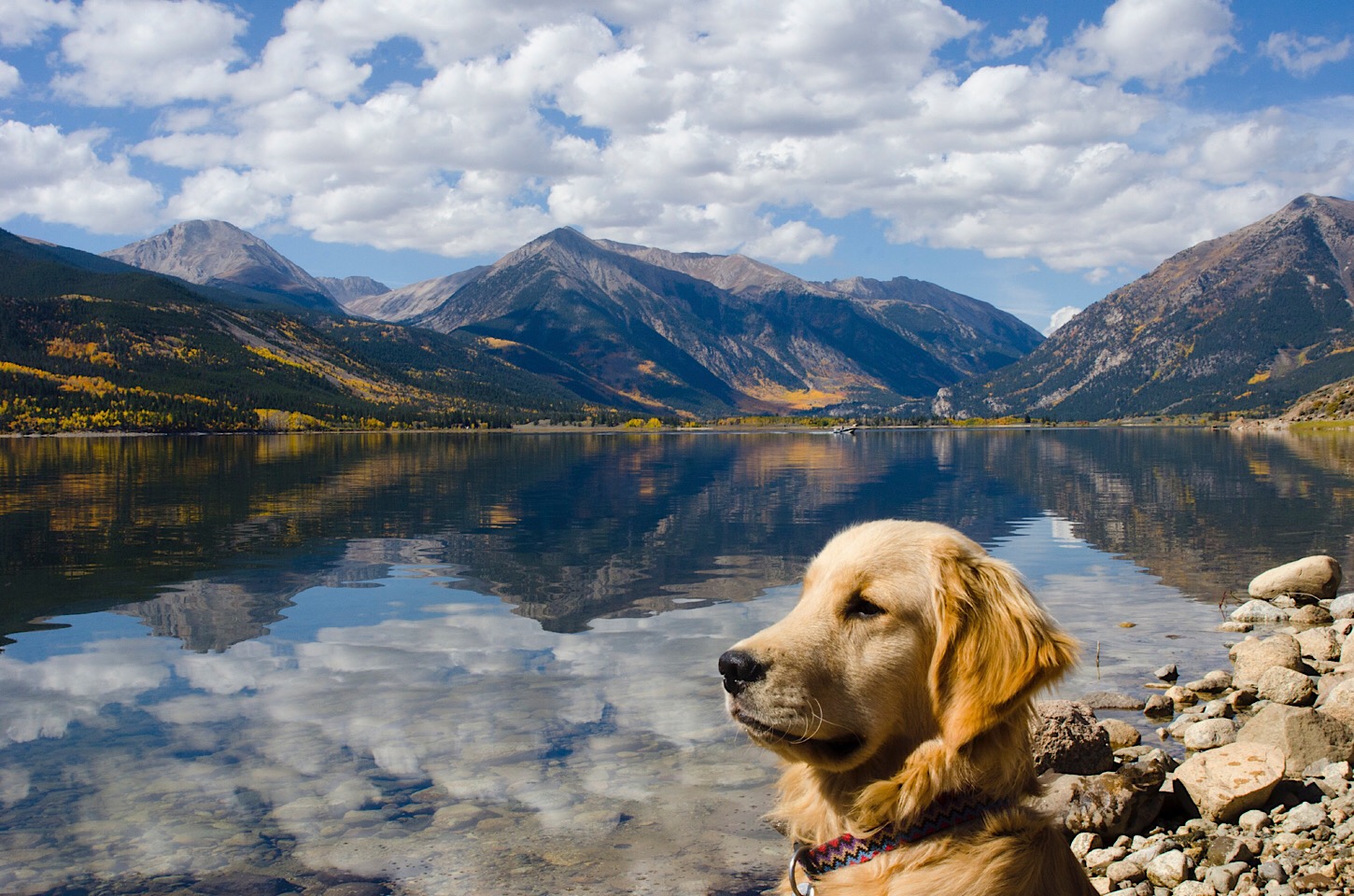 Twin Lakes am Independence Pass