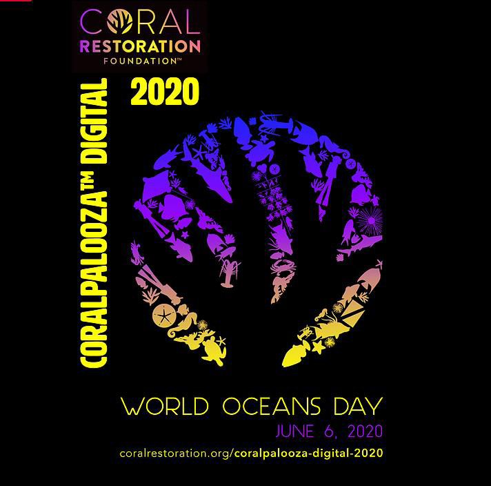 Coralpalooza 2020