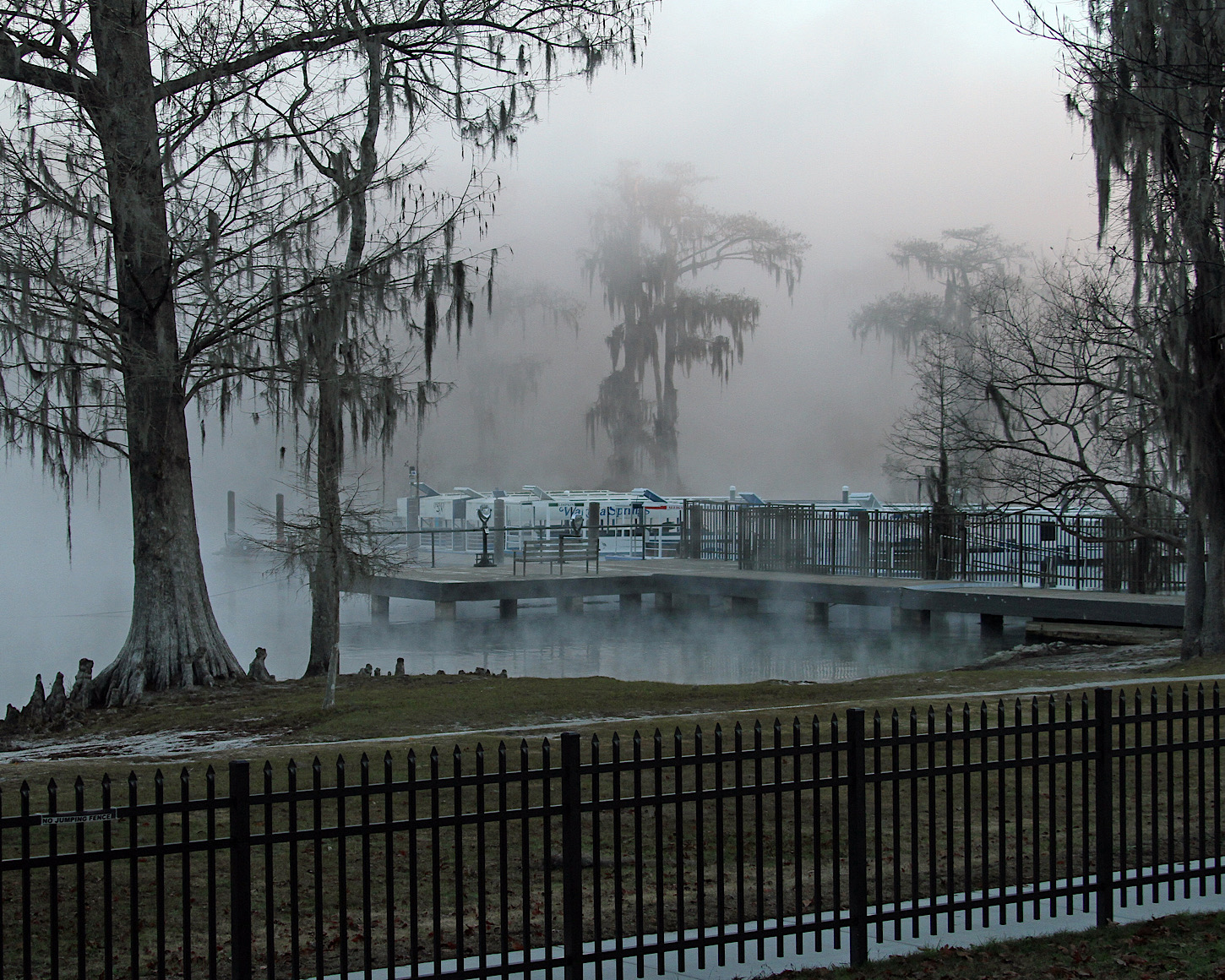 Wakulla Springs