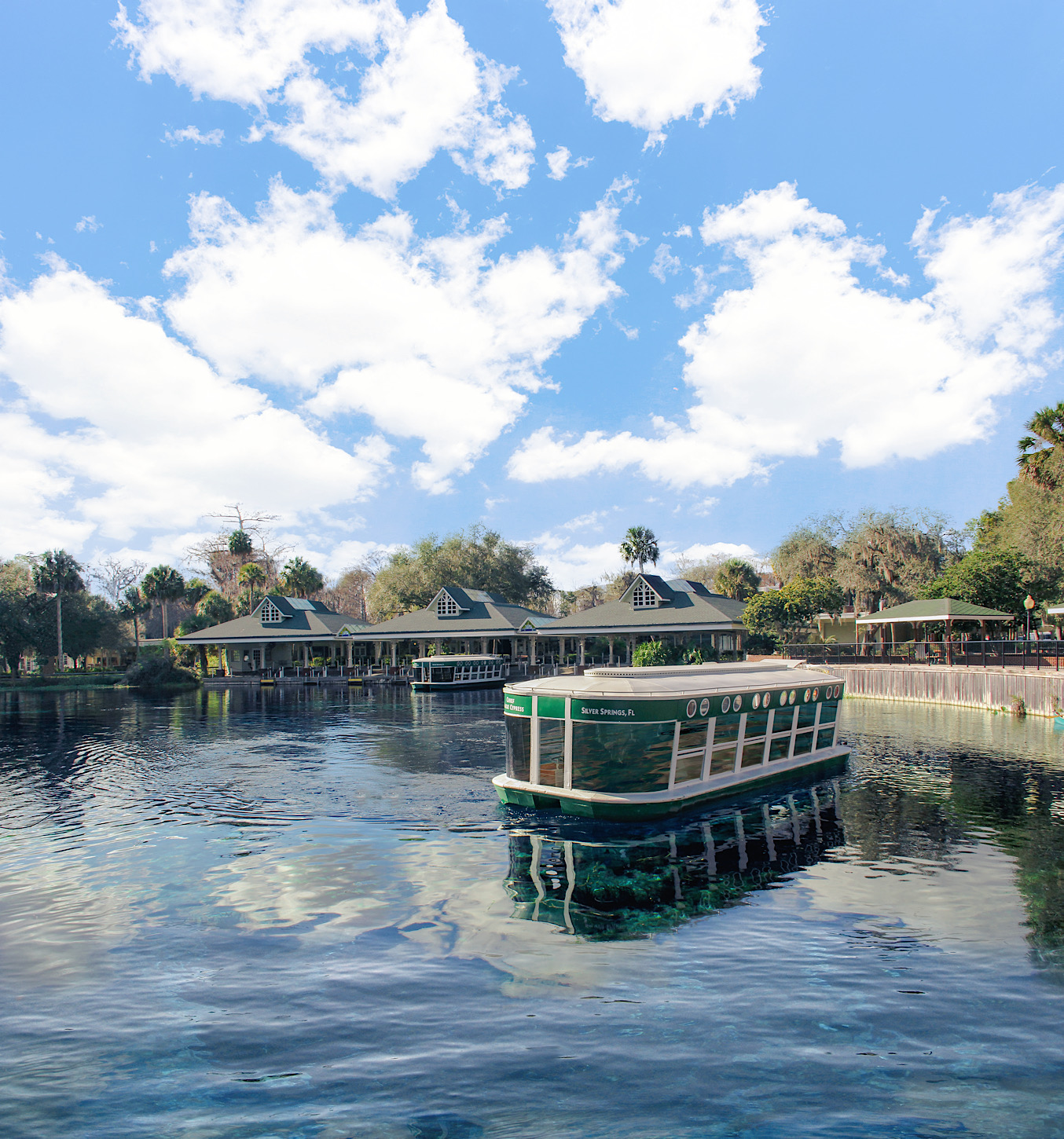 Glasbodenboot in Silver Springs