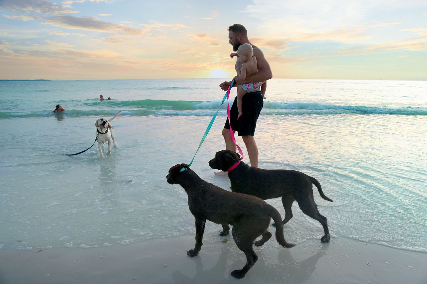 Honeymoon Island - ein Hundeparadies