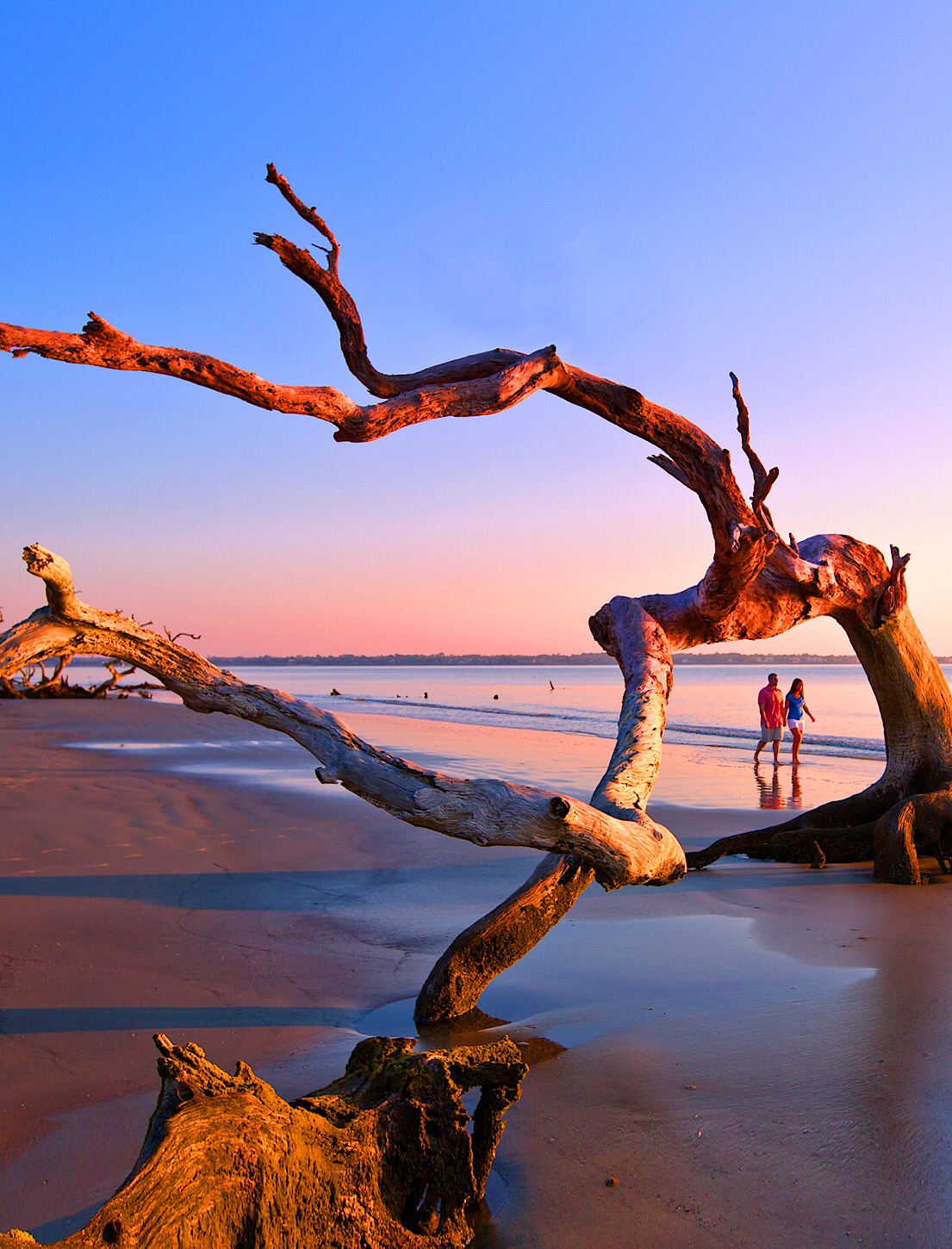 Auch das ist Georgia: Driftwood Beach