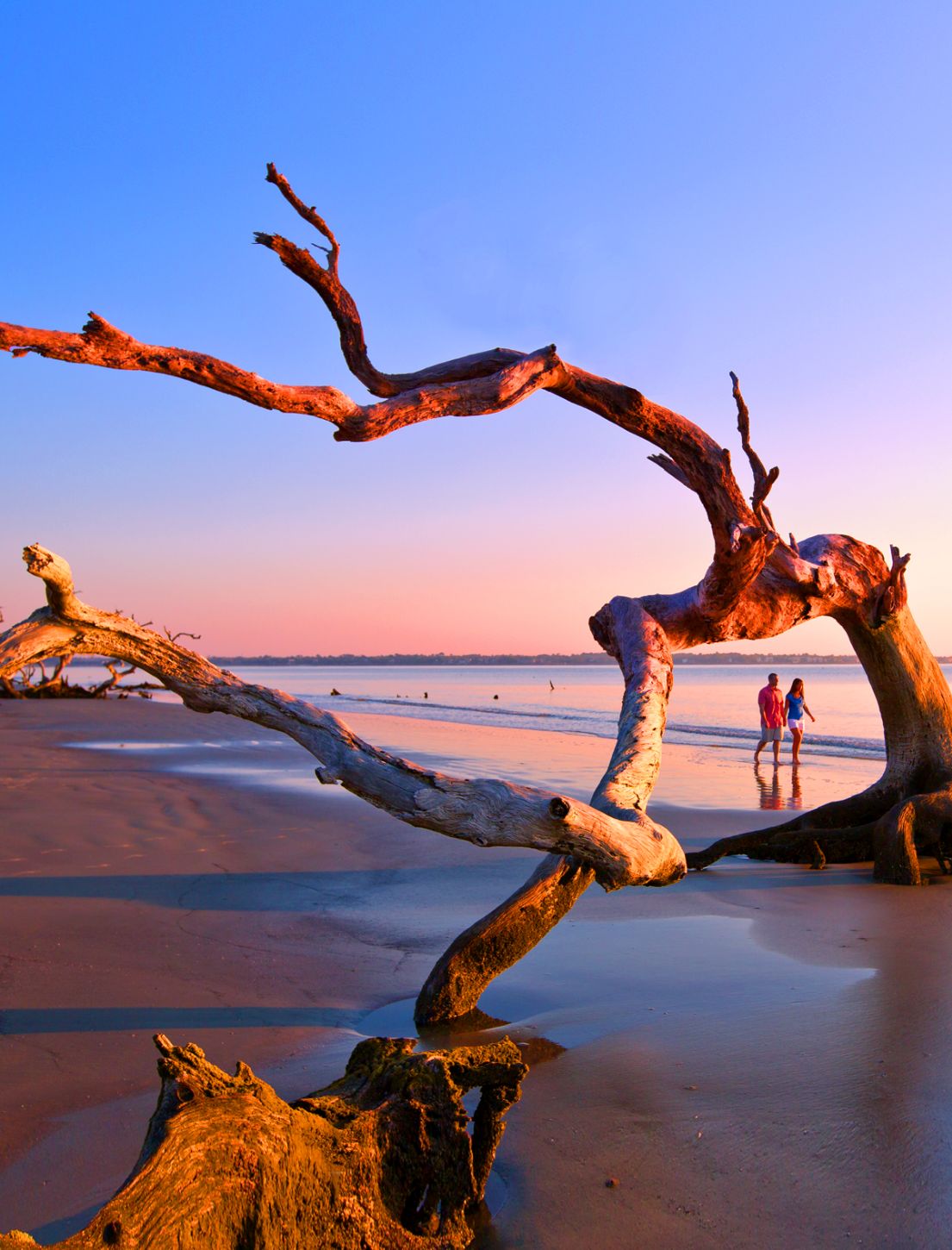 Driftwood Beach auf Jekyll Island