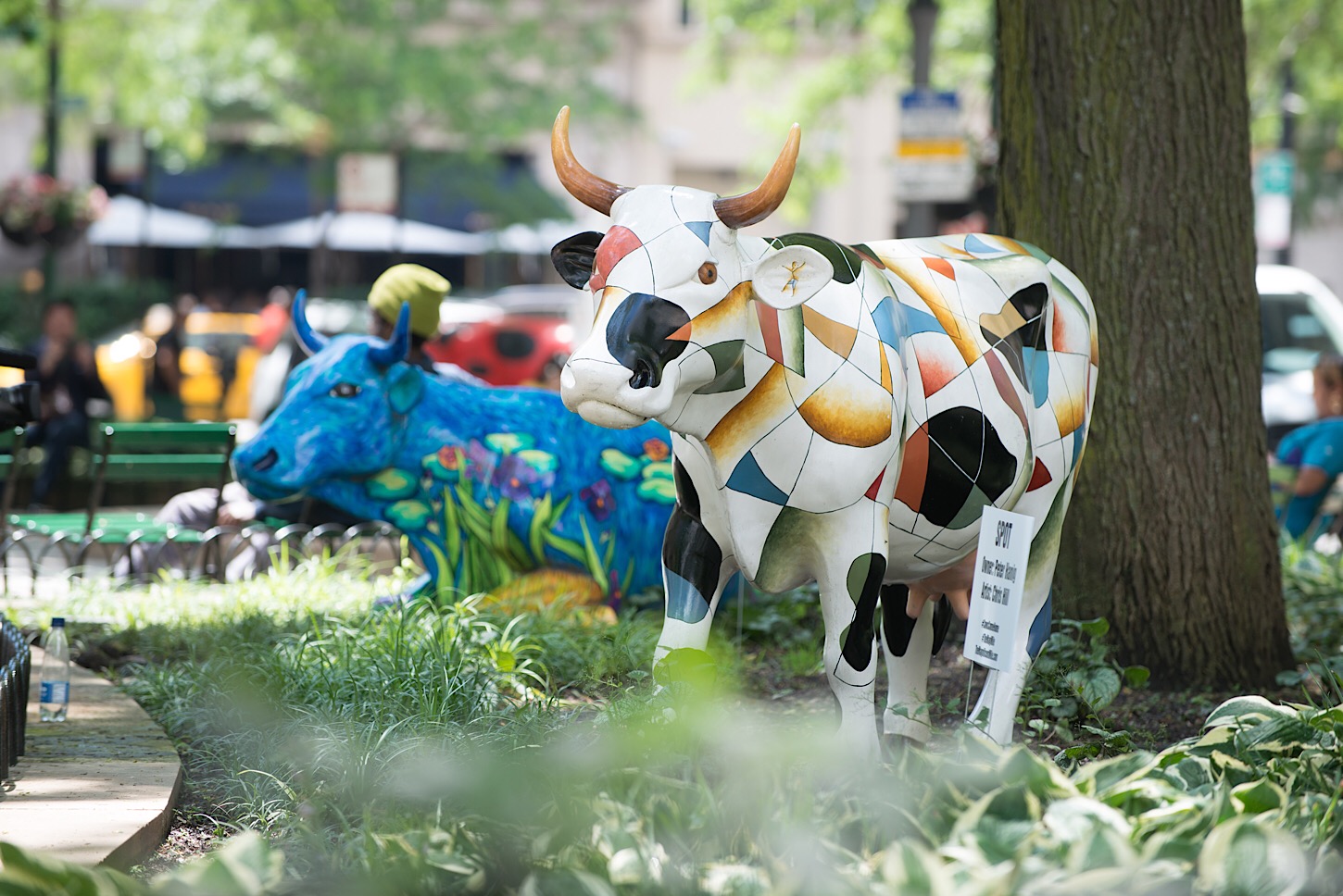 The Magnificent Mile: die Kühe sind zurück