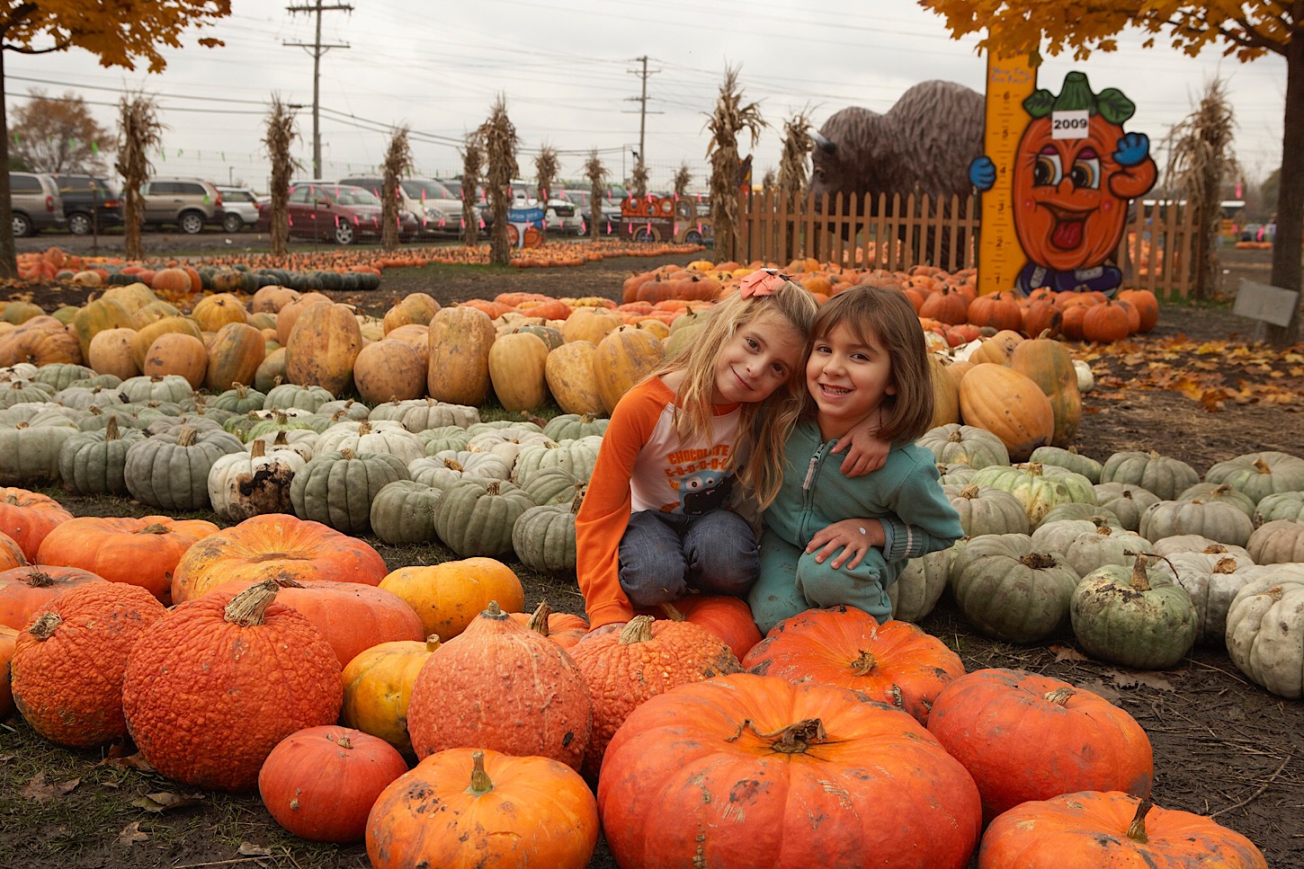 The Great Pumpkin Patch