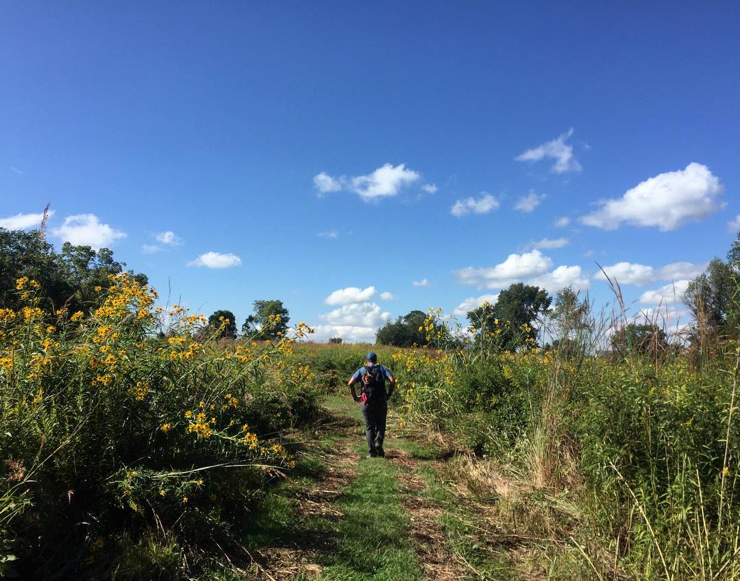 Wandern im Preserve