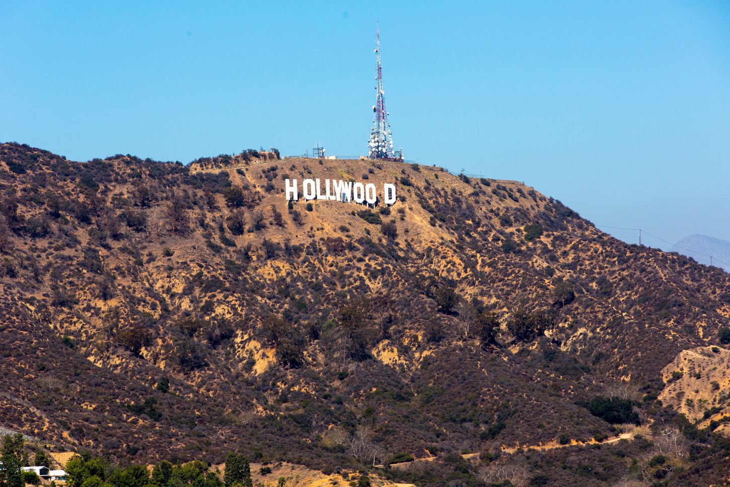 Eines der bekanntesten Wahrzeichen der Stadt: das Hollywood-Schild