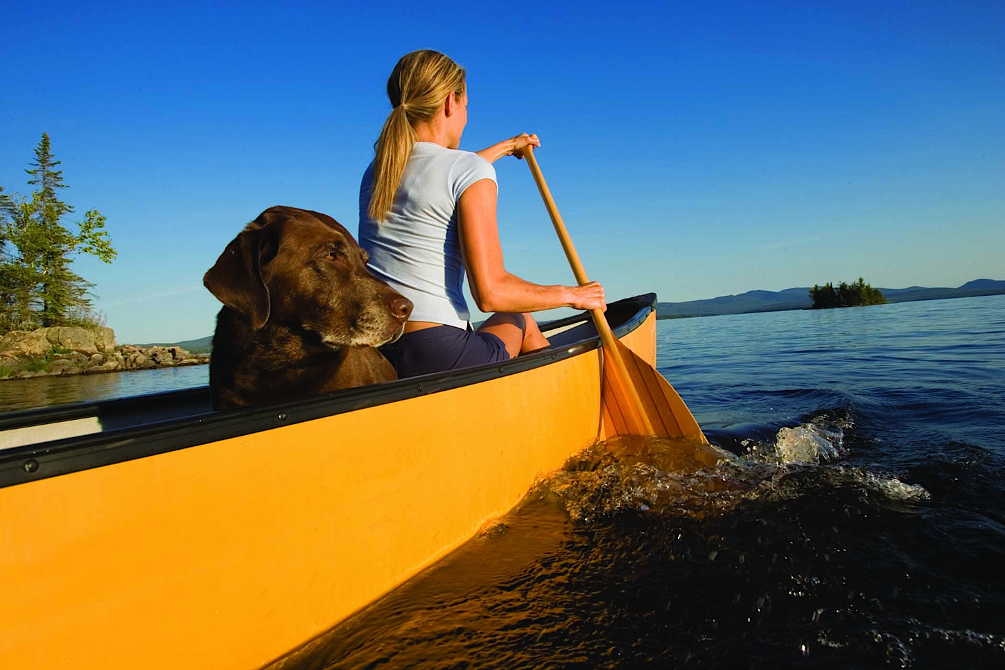 Kajakausflug mit Hund - Acadia N.P.