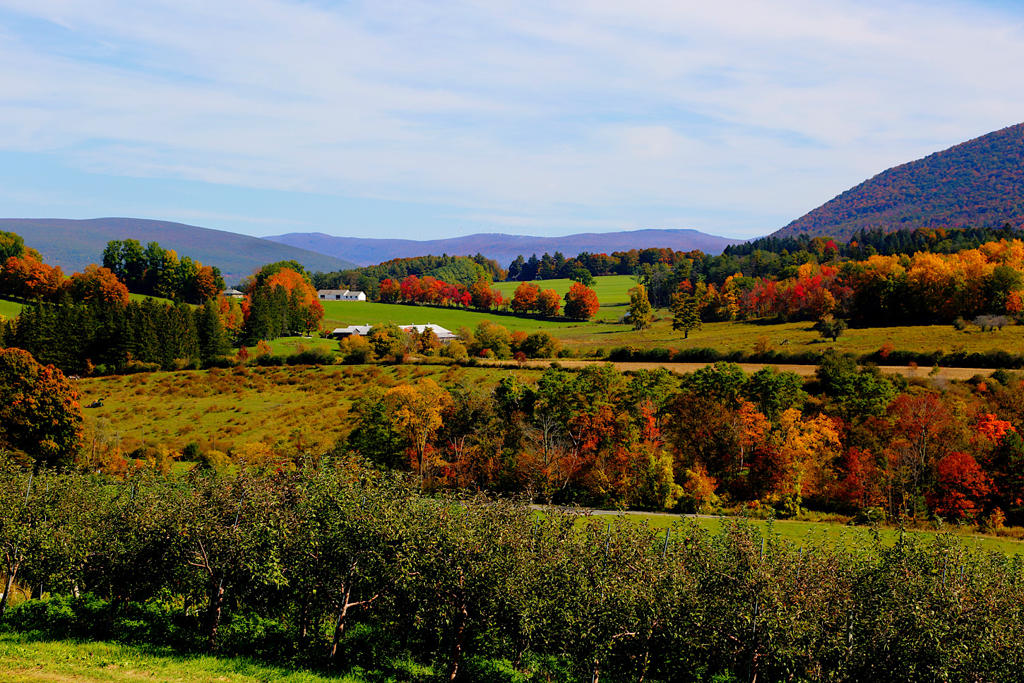 Ausblick in den Berkshires