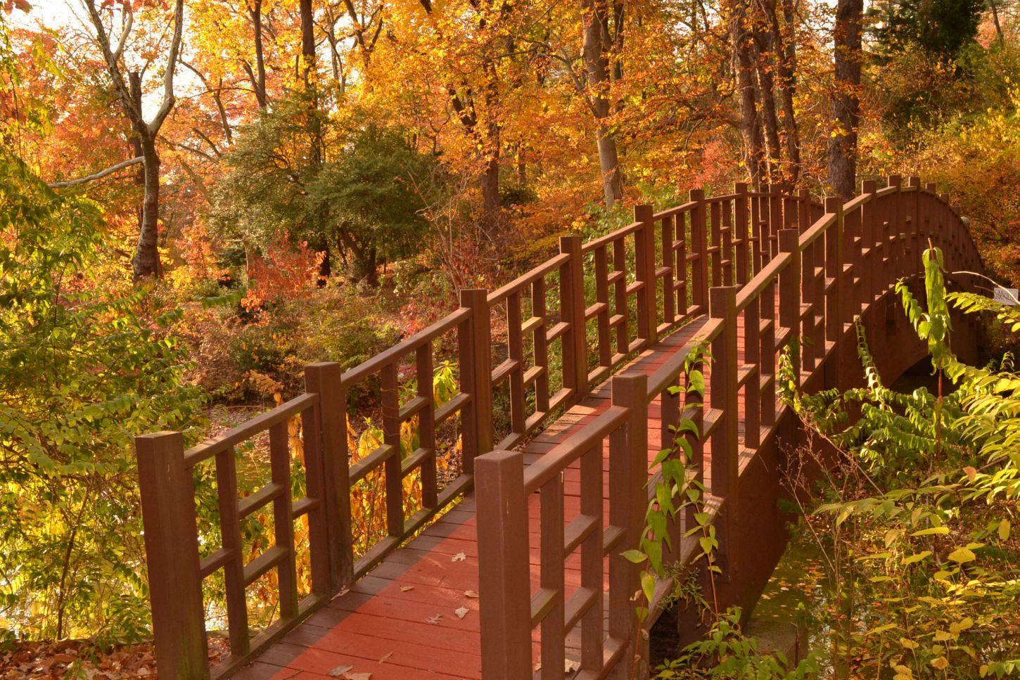 Long Island - perfekt für lange Herbstspaziergänge
