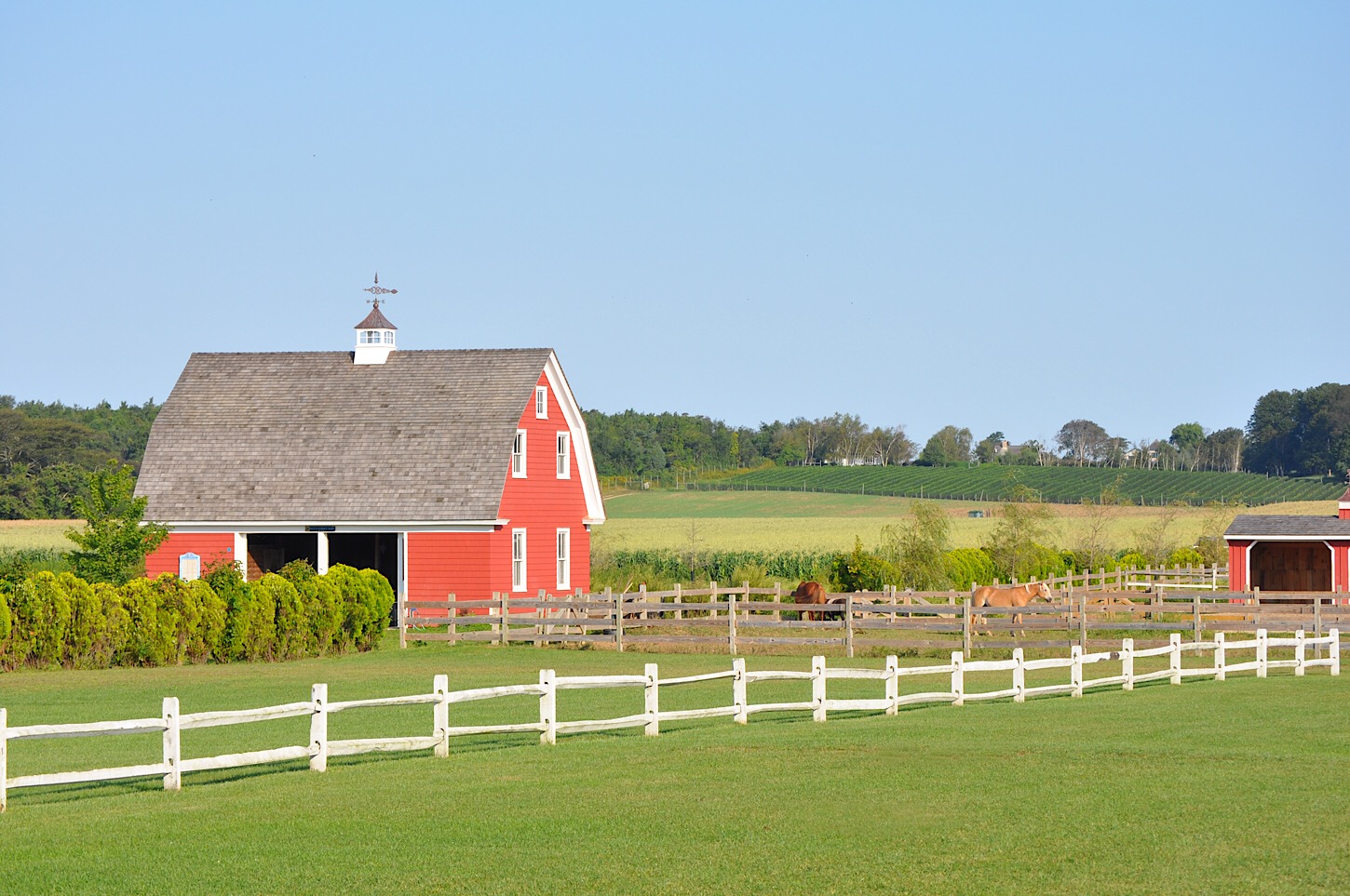 Harbes Family Farm