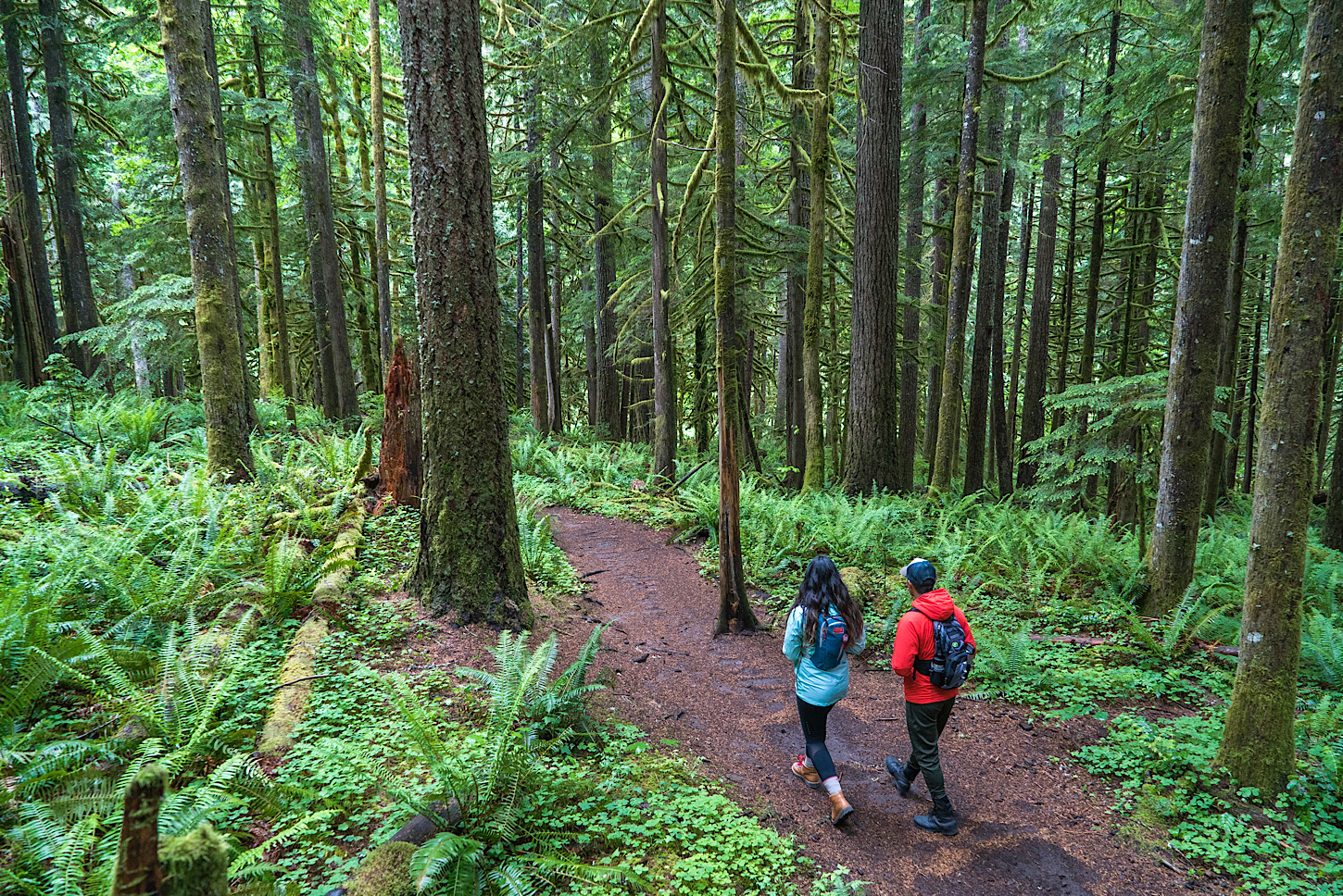 Hiking im Mt. Hood National Forest