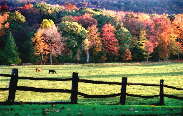 Herbststimmung bei Pittsburgh