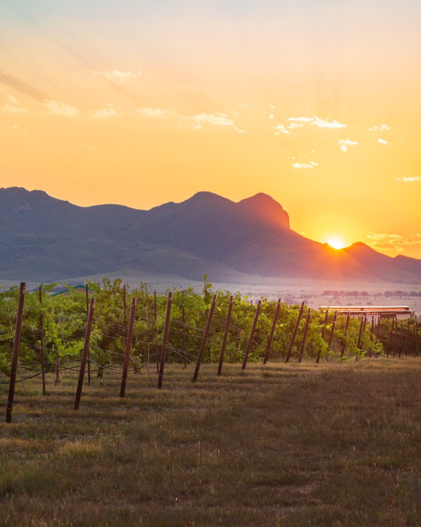 Kief-Joshua Wineyards, Arizona