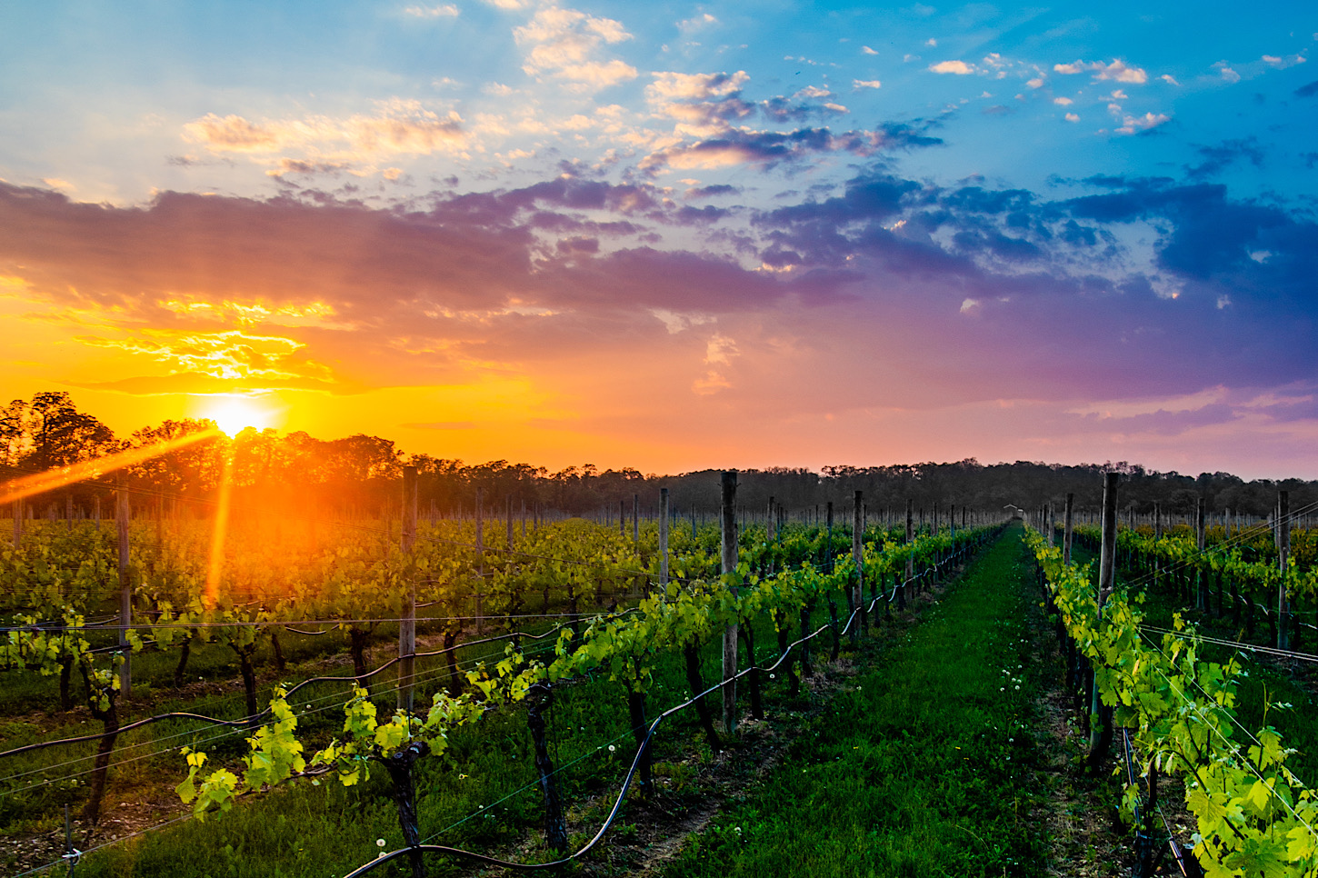 Sonnenuntergang auf North Fork