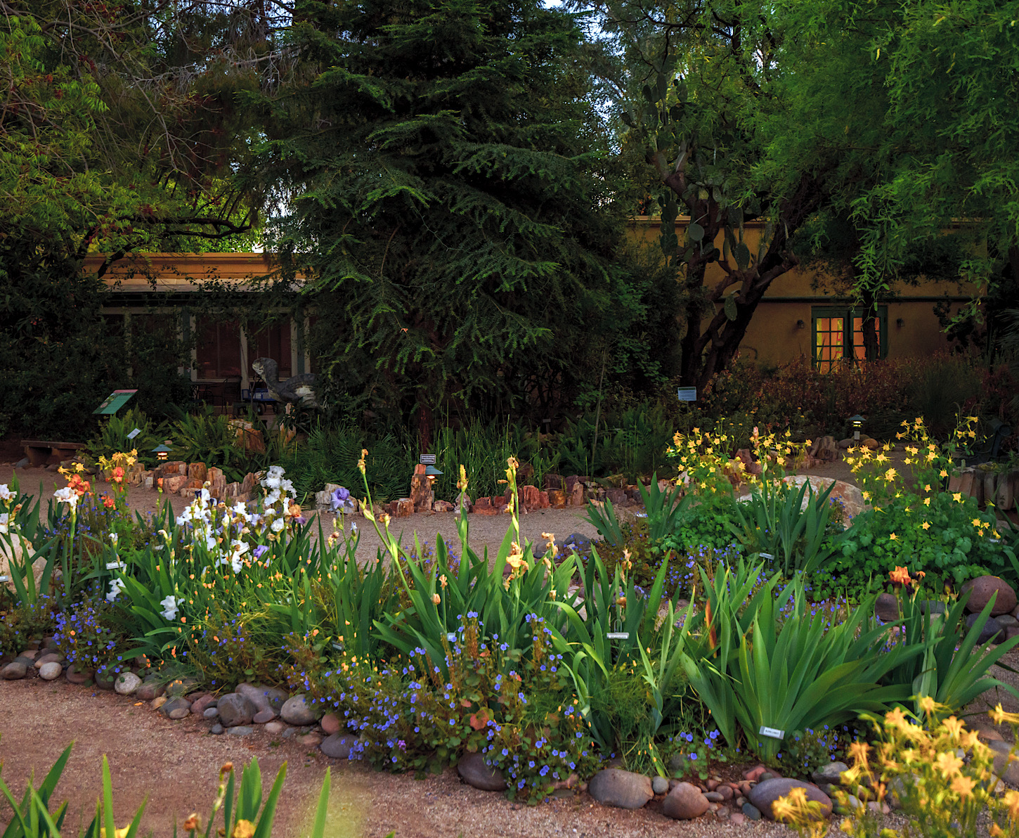 Tucson Botanical Gardens