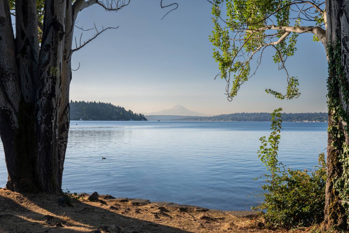 Seward Park