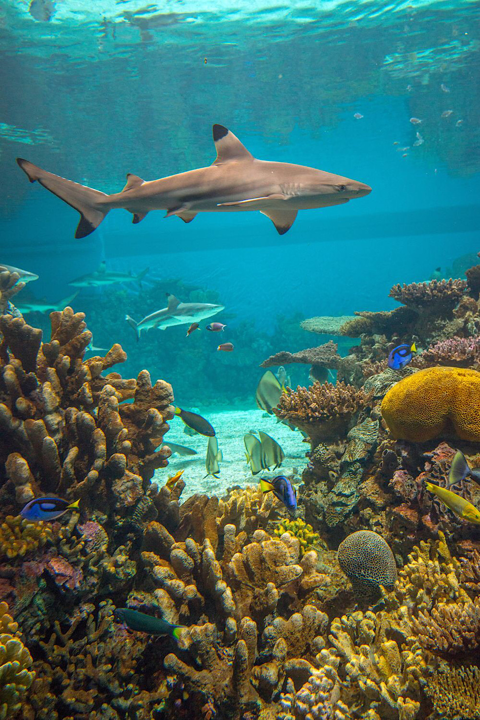 Baltimore National Aquarium