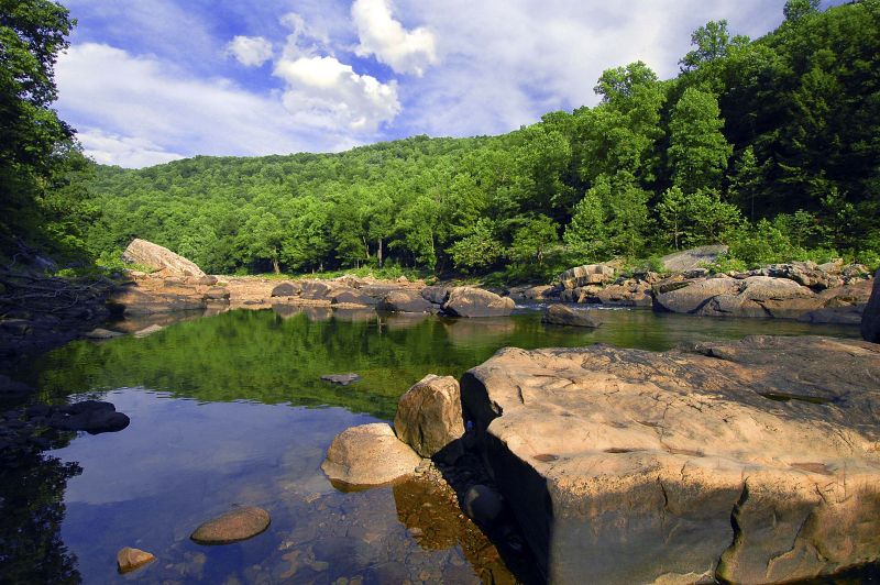 Cheat River Cheat River