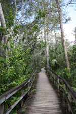 Calusa Nature Center