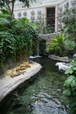 Image Image