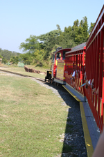 Serengeti Railway