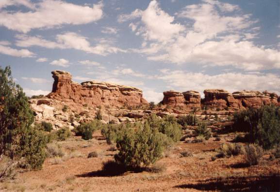 Im Needles District Im Needles District