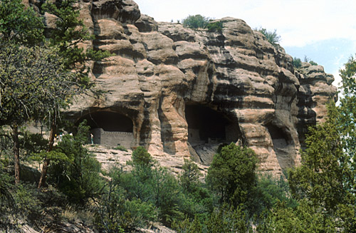 Image Image
