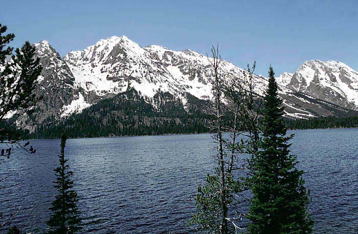 Image Image