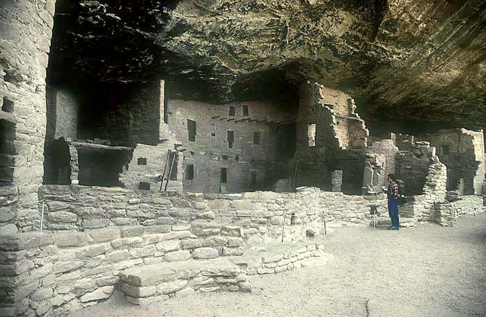 Einblick in das Spruce Tree House