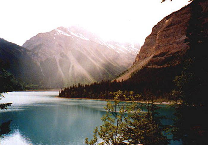 Image Image