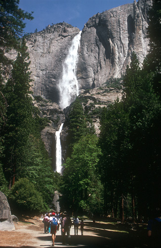 Image Image