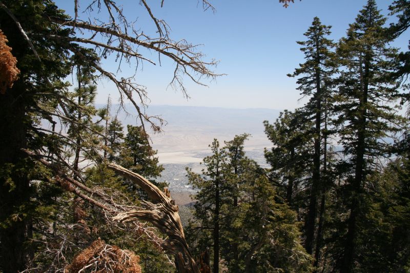 Mount San Jacinto State Park