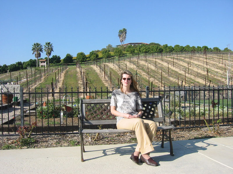 Weinberge in Temecula