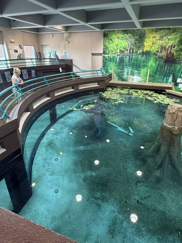Das Manatee-Habitat von oben