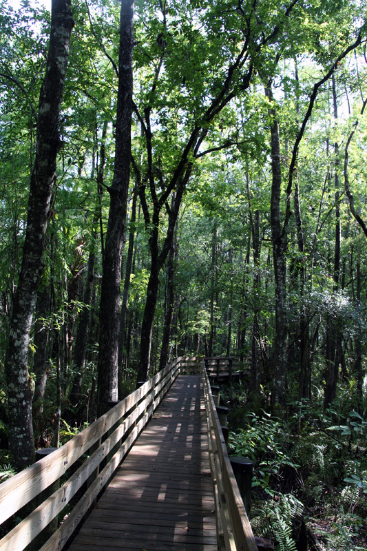 Der Boardwalk