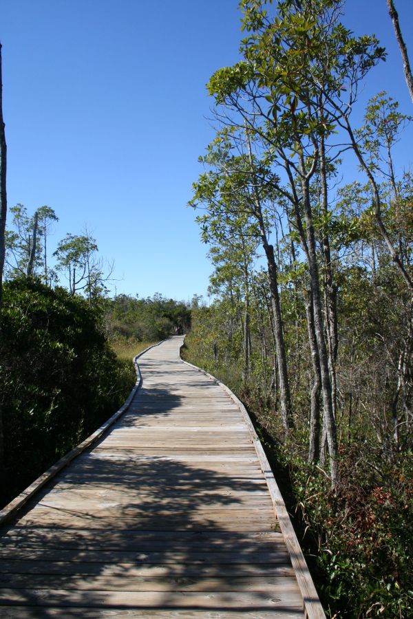 der Boardwalk der Boardwalk