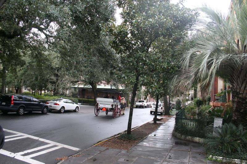 Unterwegs in Savannah Unterwegs in Savannah
