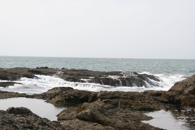 Tide Pools