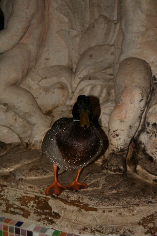 fesch & frisch gebadet! fesch & frisch gebadet!