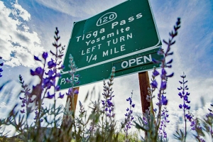 Endlich wieder geöffnet: der Highway 120 über den Tioga Pass 